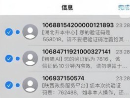免费短信接码网