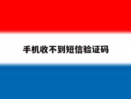 手机收不到短信验证码
