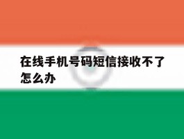 在线手机号码短信接收不了怎么办