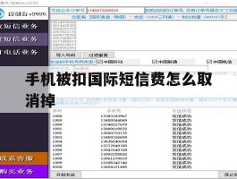 手机被扣国际短信费怎么取消掉