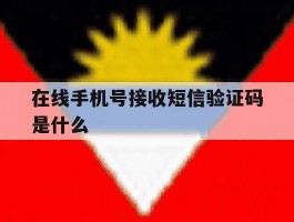在线手机号接收短信验证码是什么