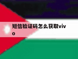短信验证码怎么获取vivo