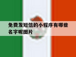 免费发短信的小程序有哪些名字呢图片
