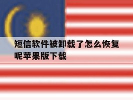 短信软件被卸载了怎么恢复呢苹果版下载