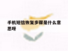 手机短信恢复步骤是什么意思呀
