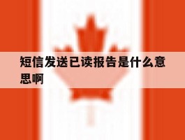 短信发送已读报告是什么意思啊