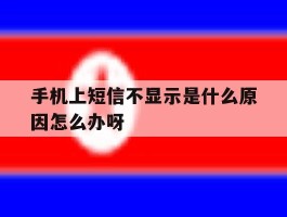 手机上短信不显示是什么原因怎么办呀