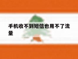 手机收不到短信也用不了流量