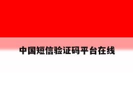 中国短信验证码平台在线