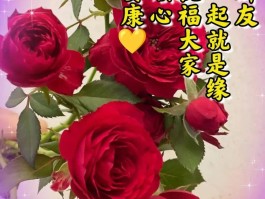 什么软件可以发各种短信祝福你