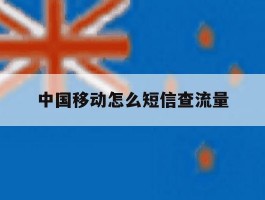 中国移动怎么短信查流量