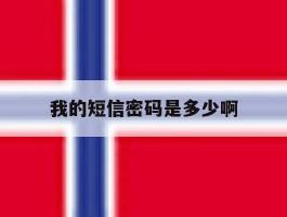 我的短信密码是多少啊