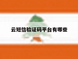 云短信验证码平台有哪些