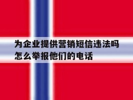 包含为企业提供营销短信违法吗怎么举报他们的电话的词条