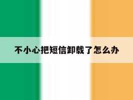 不小心把短信卸载了怎么办