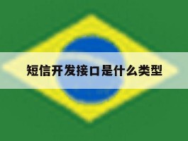短信开发接口是什么类型