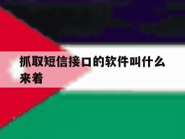抓取短信接口的软件叫什么来着
