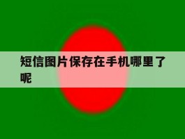 短信图片保存在手机哪里了呢