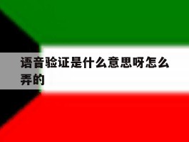 语音验证是什么意思呀怎么弄的