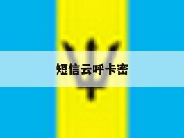短信云呼卡密