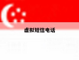 虚拟短信电话
