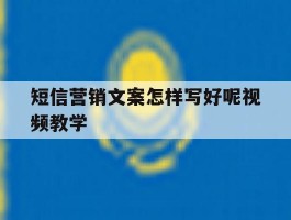 短信营销文案怎样写好呢视频教学