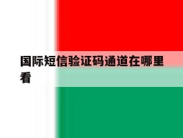 国际短信验证码通道在哪里看