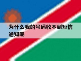 为什么我的号码收不到短信通知呢