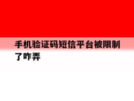 手机验证码短信平台被限制了咋弄