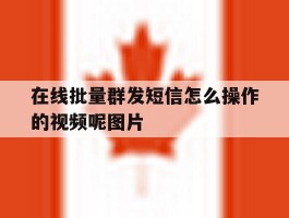 在线批量群发短信怎么操作的视频呢图片的简单介绍