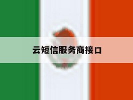 云短信服务商接口