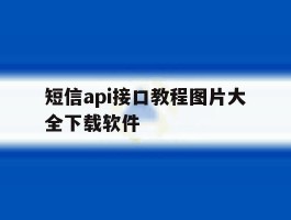 短信api接口教程图片大全下载软件