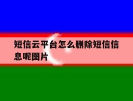 关于短信云平台怎么删除短信信息呢图片的信息