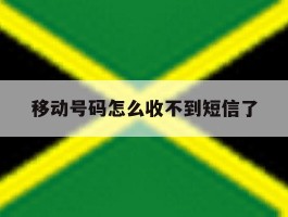 移动号码怎么收不到短信了