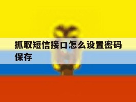 抓取短信接口怎么设置密码保存