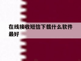 在线接收短信下载什么软件最好