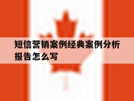 短信营销案例经典案例分析报告怎么写