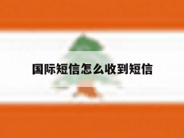 国际短信怎么收到短信