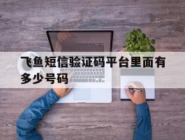 关于飞鱼短信验证码平台里面有多少号码的信息