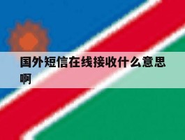 国外短信在线接收什么意思啊