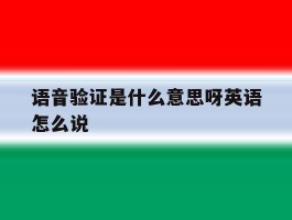 语音验证是什么意思呀英语怎么说