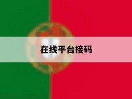 在线平台接码