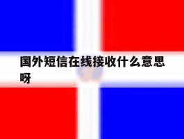 国外短信在线接收什么意思呀