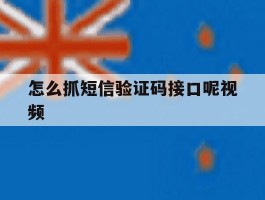 怎么抓短信验证码接口呢视频