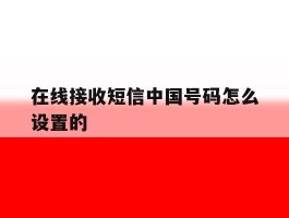 在线接收短信中国号码怎么设置的