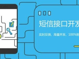 抓取短信接口什么意思呀怎么设置