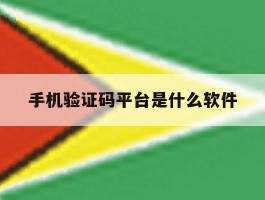 手机验证码平台是什么软件