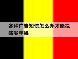 各种广告短信怎么办才能拦截呢苹果的简单介绍