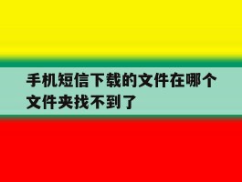 手机短信下载的文件在哪个文件夹找不到了