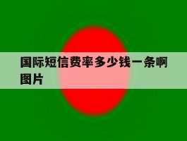 国际短信费率多少钱一条啊图片